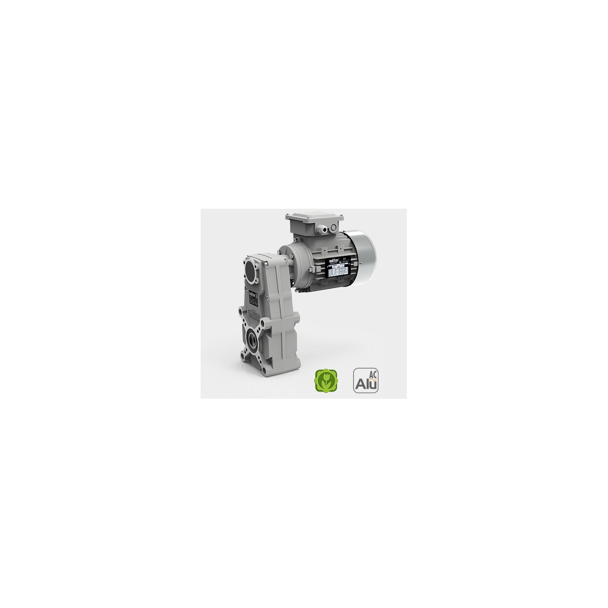Motoréducteur Pendulaire FT146 i113.40 Ø20 Taille 56 4 pôles 0,09KwIE1 B14 aluminium