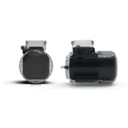 Moteur Triphasé 0.04Kw Taille 50 1501t/mn - 230/400 IE1 B14 Alu IP66 Sans ventilation