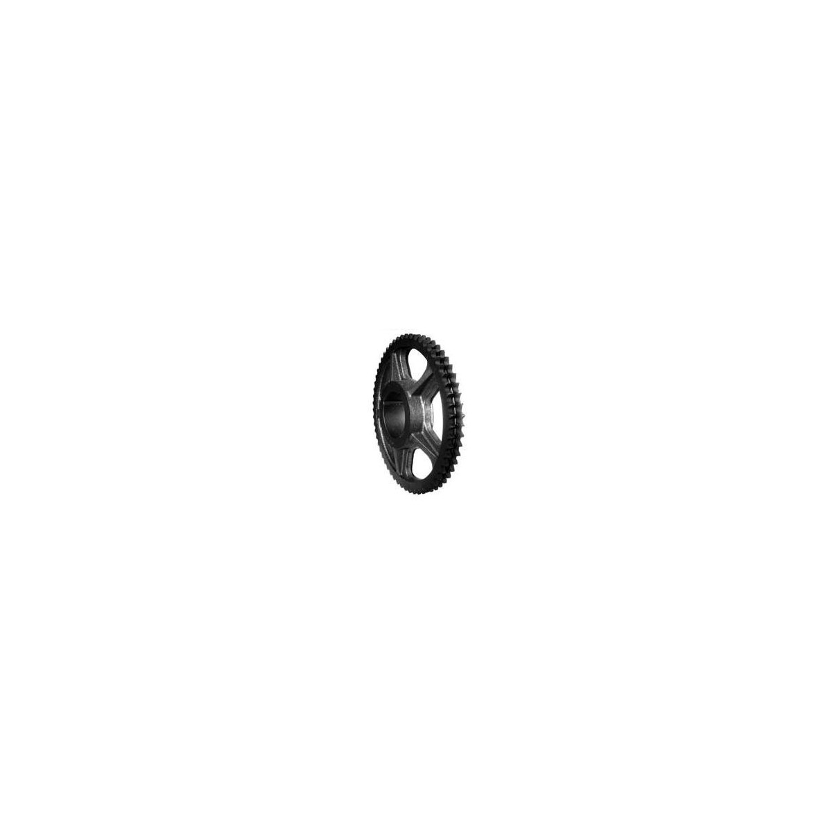  Roue fonte 06B-2 Double 57 dents pour moyeu amovible 1610