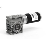 Motoréducteur à Courant Continu Roue et Vis CM026 Ø12 i5 EC035 12V 35W avec codeur