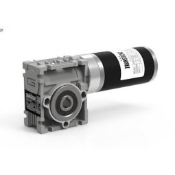 Motoréducteur à Courant Continu Roue et Vis CM030 Ø14 i5 EC035 12V 35W avec codeur