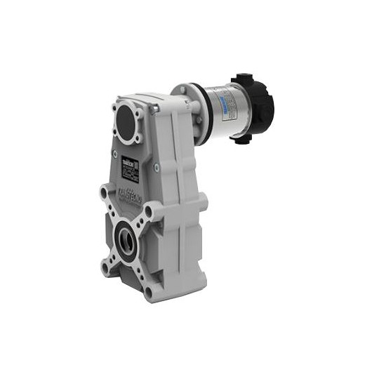 Motoréducteur à courant continu Pendulaire FT105/3 Ø17  i20,57 ND120 12V 120W Ø80