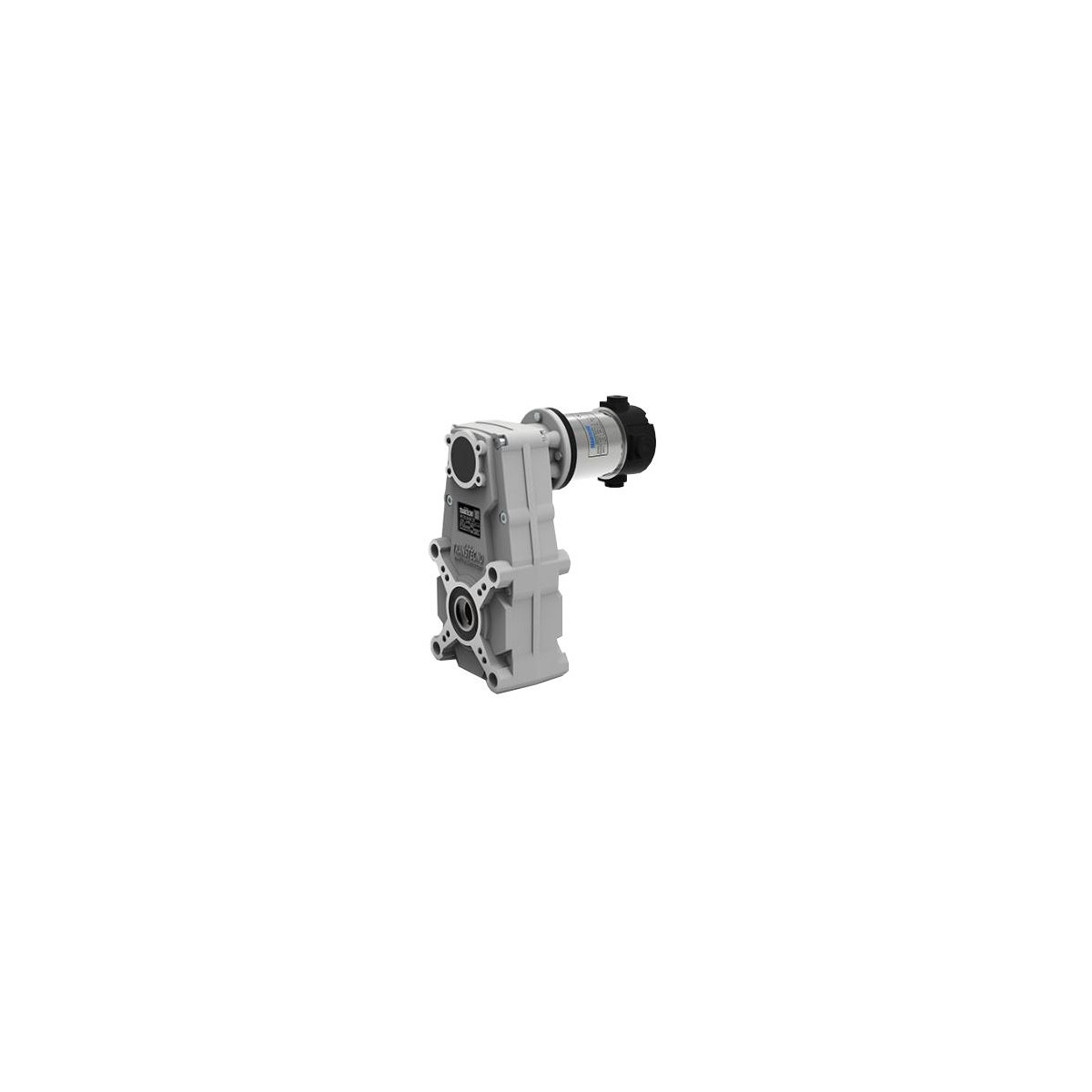 Motoréducteur à courant continu Pendulaire FT105/3 Ø17  i20,57 ND120 12V 120W Ø80