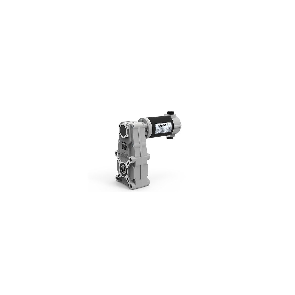Motoréducteur à courant continu Pendulaire FT196 Ø30  i20,41 EC250 12V 250W Ø90