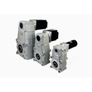 Motoréducteur Brushless IP55 Pendulaire FT105/3U Ø17 i44,36 BLS02 24(36)V 70(92)W